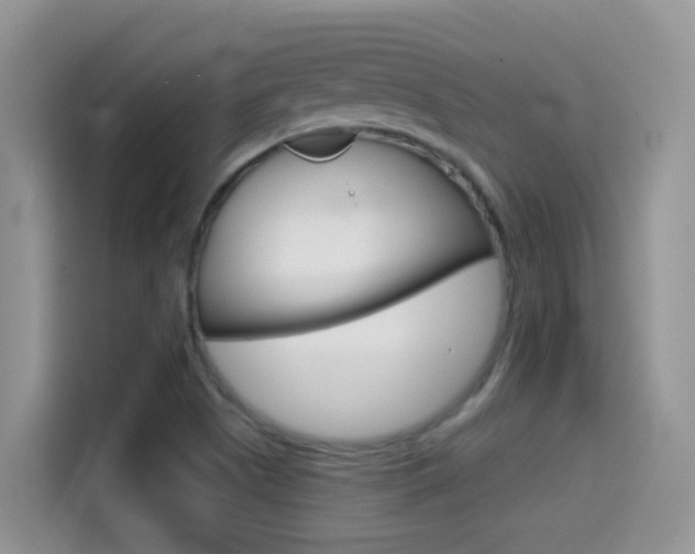 X0000114441505200910161041