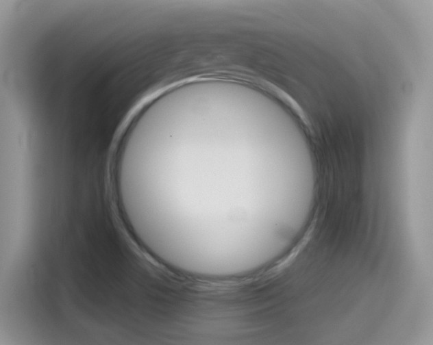X0000114441506200910161041