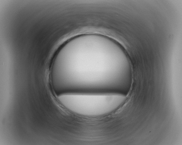 X0000114441507200910161041