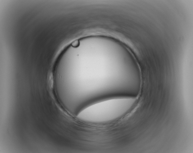 X0000114441509200910161042