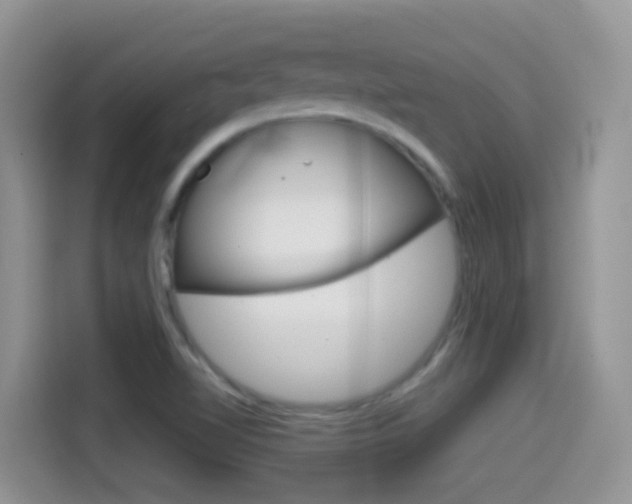 X0000114441510200910161042