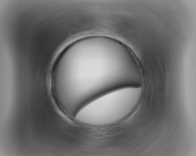 X0000114441511200910161042