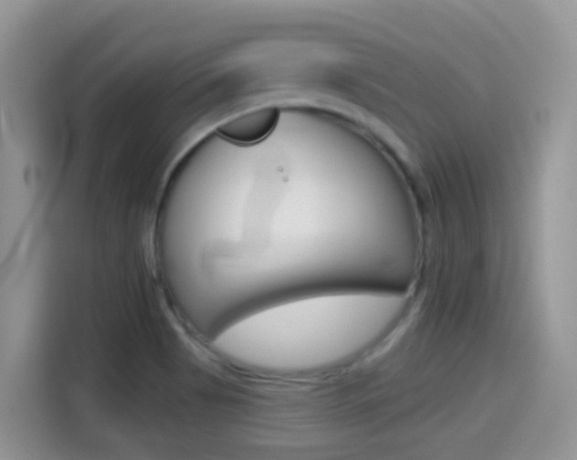X0000114441513200910161042