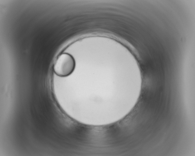 X0000114441514200910161042
