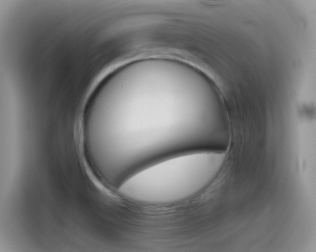 X0000114441515200910161042