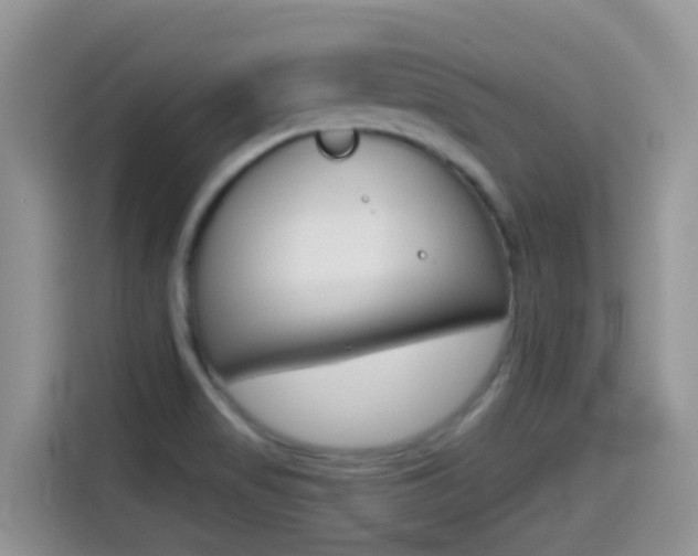 X0000114441517200910161042