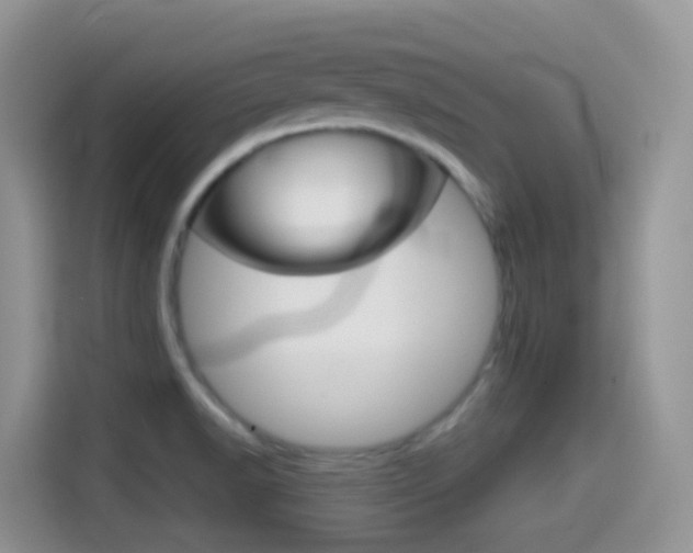 X0000114441518200910161042