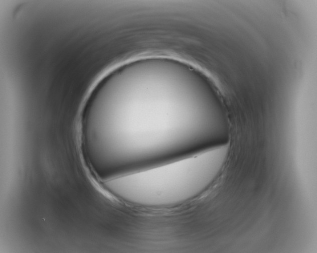 X0000114441519200910161042