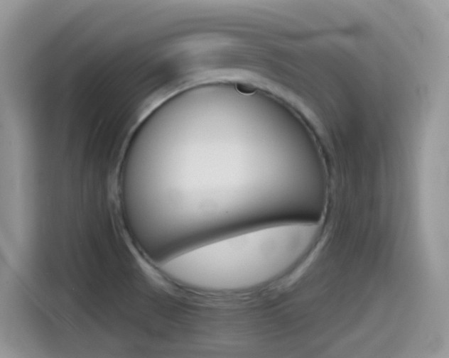 X0000114441521200910161042