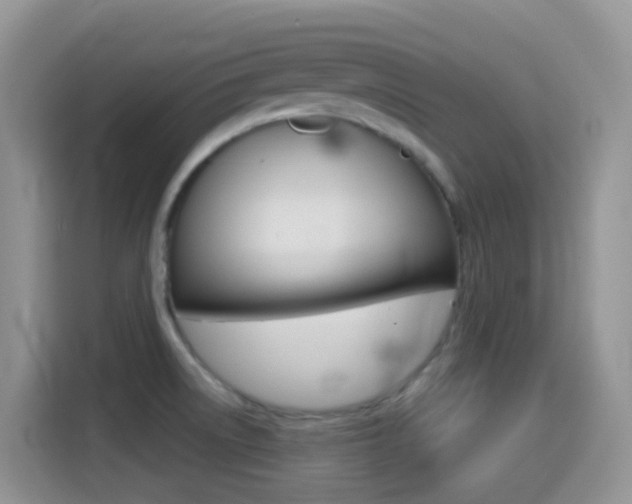 X0000114441522200910161042