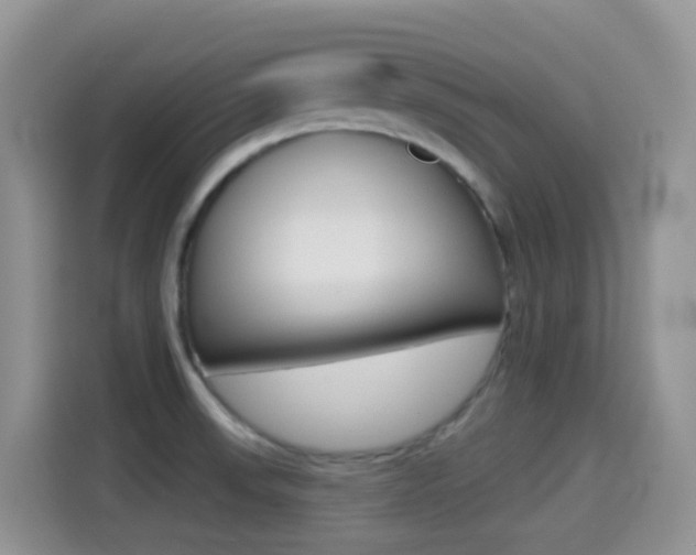 X0000114441523200910161042