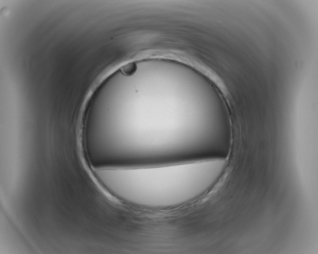 X0000114441525200910161042