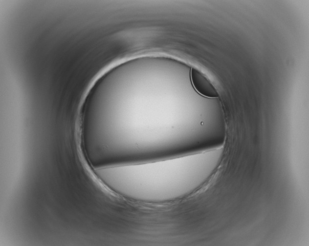 X0000114441526200910161042