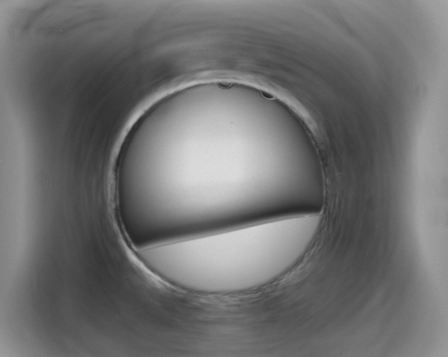 X0000114441527200910161042