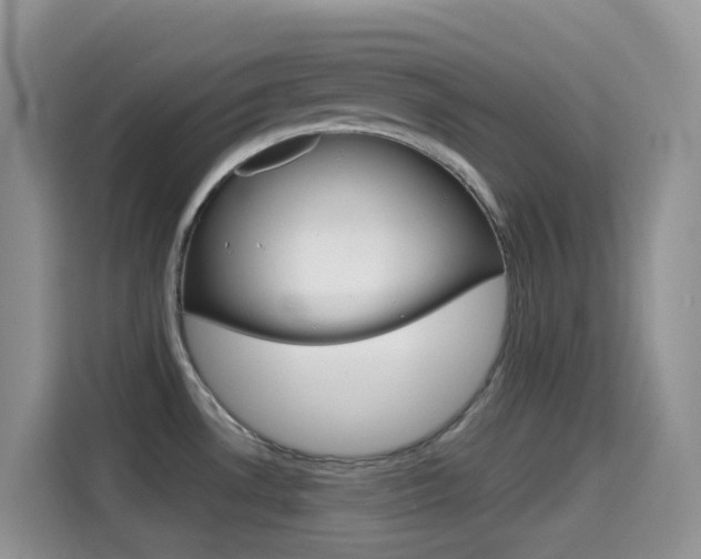 X0000114441530200910161042
