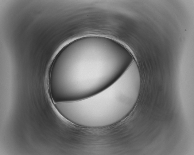 X0000114441531200910161042