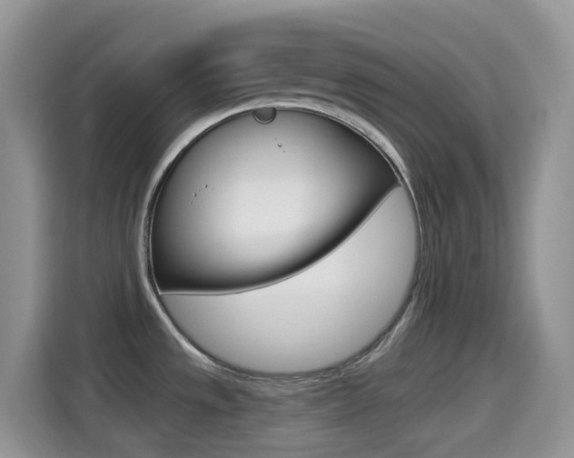 X0000114441533200910161042