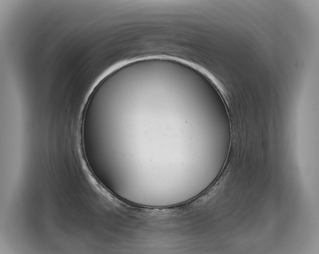 X0000114441534200910161042