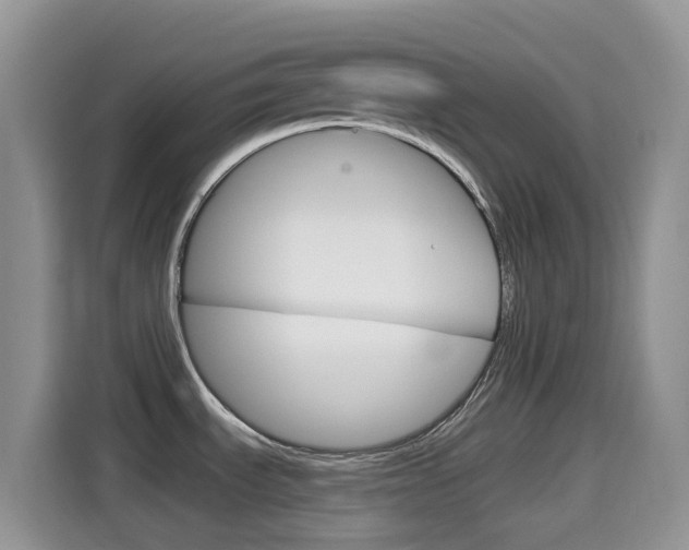 X0000114441535200910161042