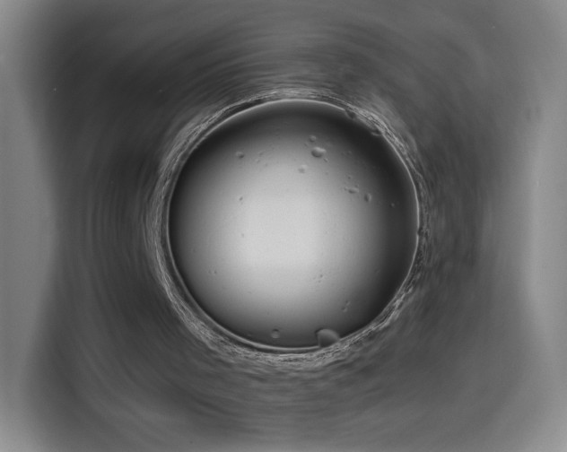 X0000114440001200910161405