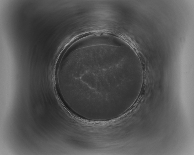 X0000114440002200910161405