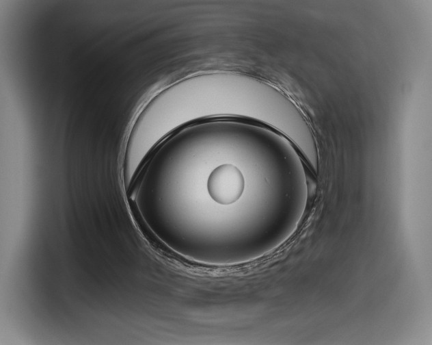 X0000114440003200910161405