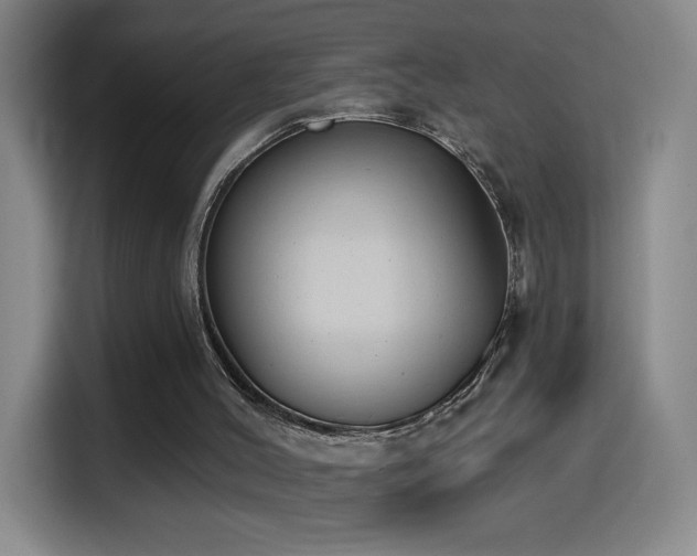 X0000114440004200910161405