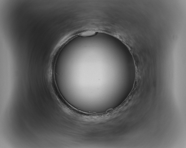 X0000114440005200910161405