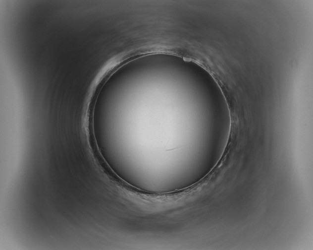 X0000114440006200910161405