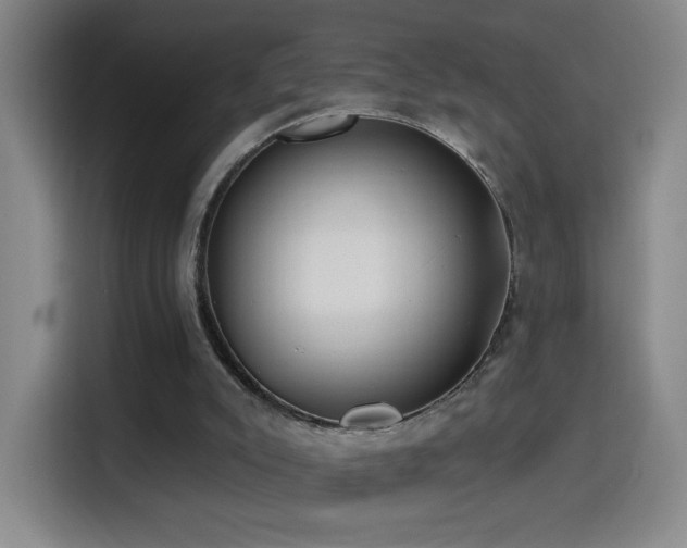 X0000114440007200910161405