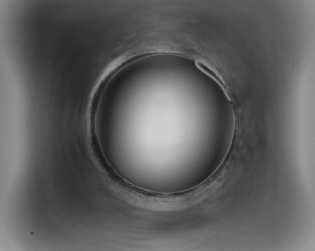 X0000114440008200910161405