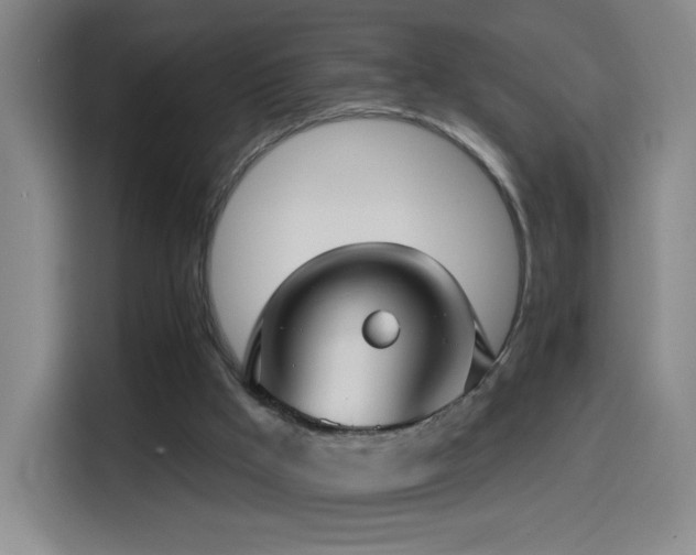 X0000114440009200910161405