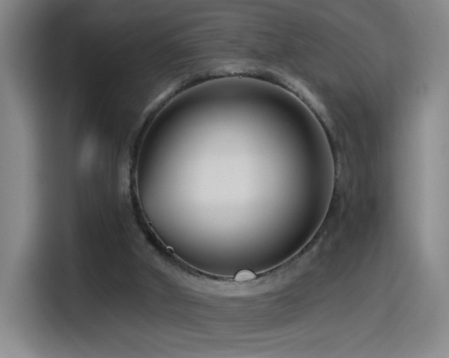 X0000114440010200910161405