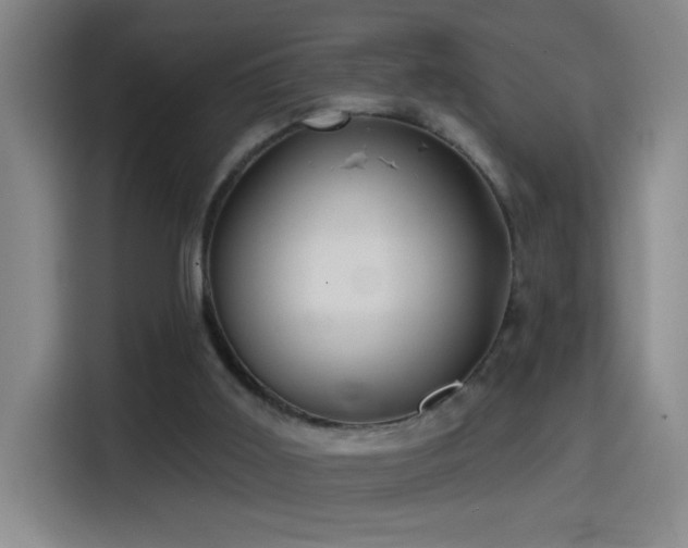 X0000114440011200910161405