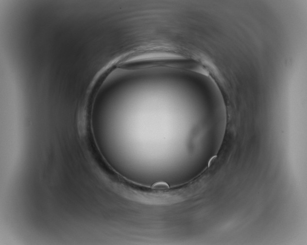 X0000114440012200910161405