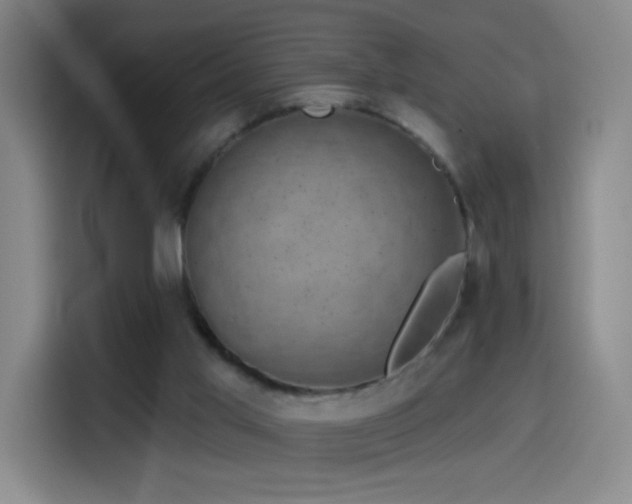 X0000114440013200910161405