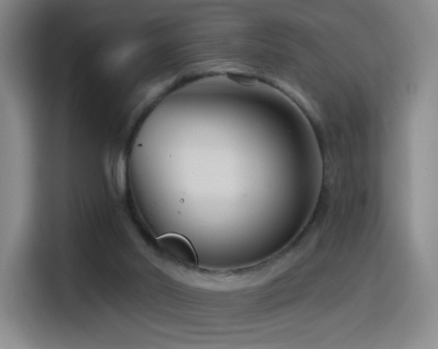 X0000114440014200910161405