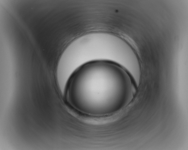 X0000114440017200910161405
