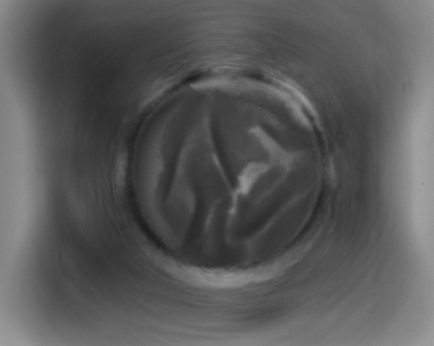X0000114440018200910161405