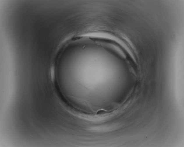 X0000114440019200910161405