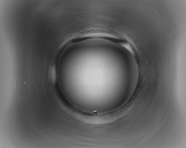 X0000114440020200910161405