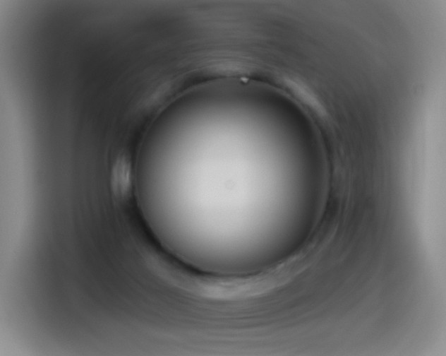 X0000114440021200910161405