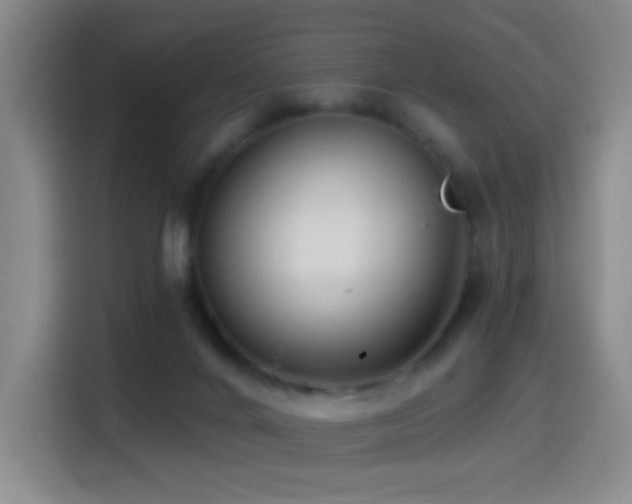 X0000114440024200910161405