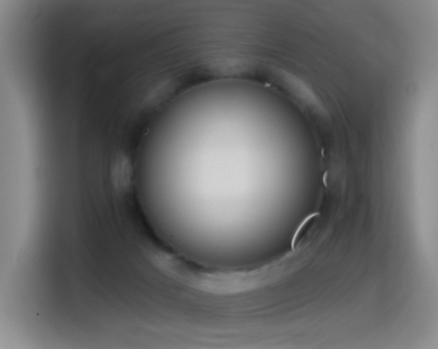 X0000114440025200910161405