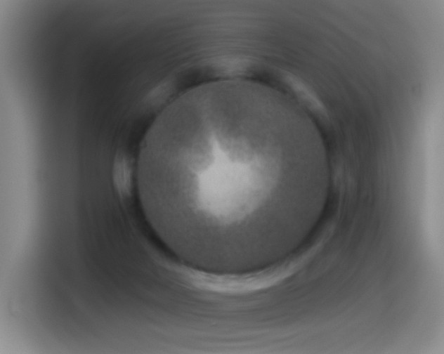 X0000114440026200910161405