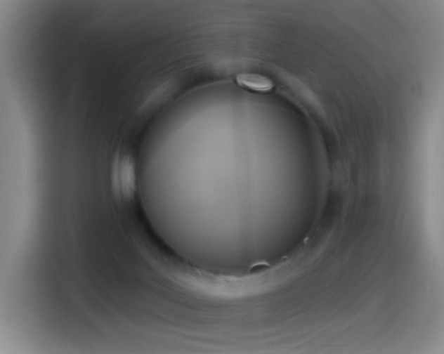 X0000114440027200910161405