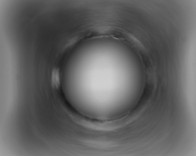 X0000114440028200910161405