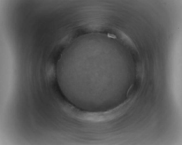 X0000114440029200910161405