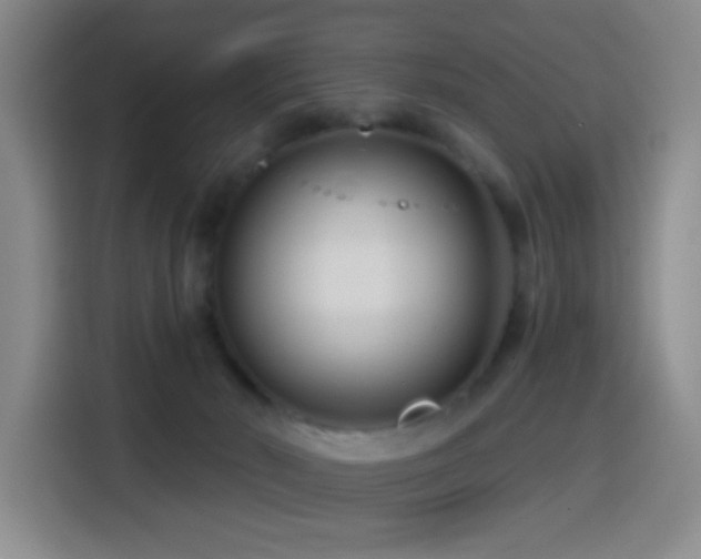 X0000114440030200910161405