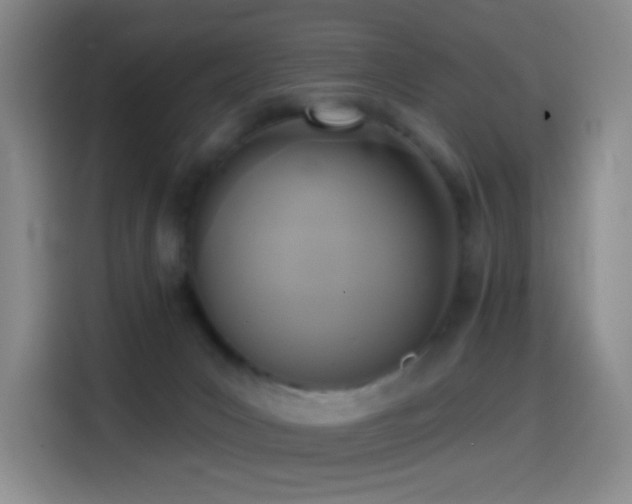 X0000114440031200910161405